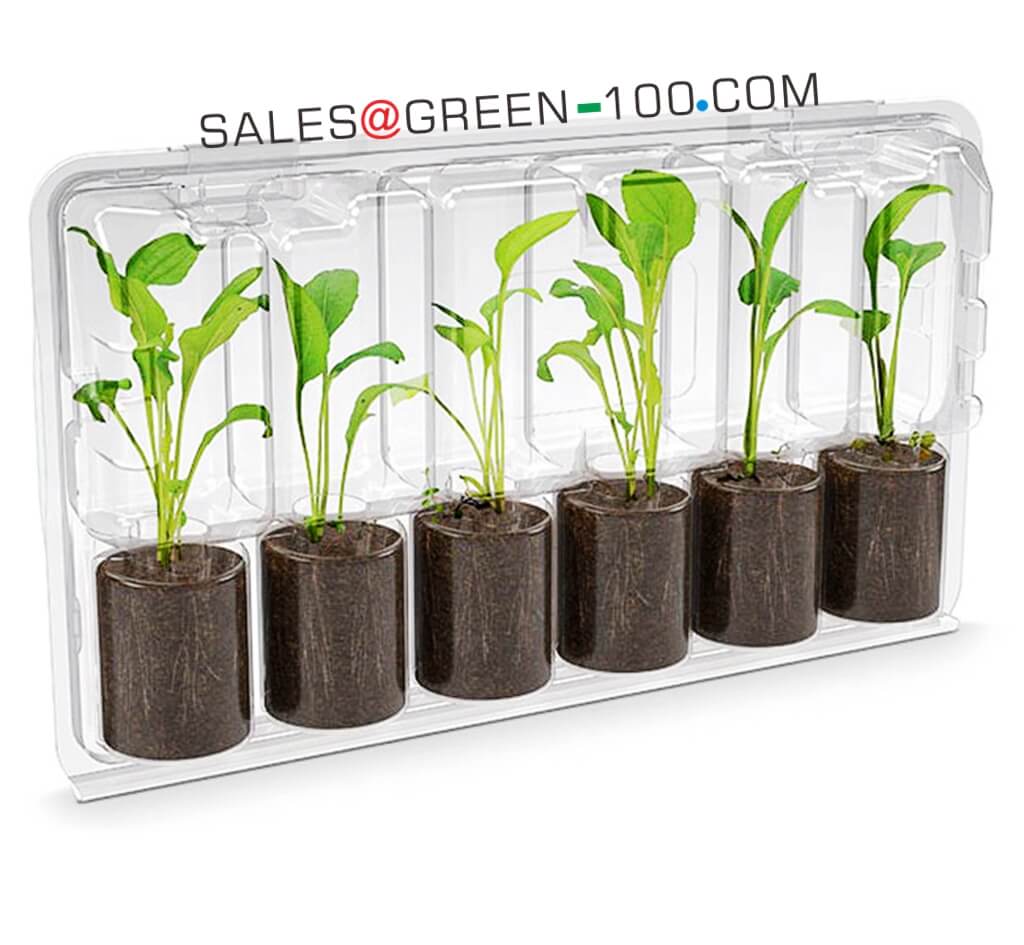 Fabricantes de contenedores de plástico con forma de concha personalizadosers 23 Clamshell Plant Packaging