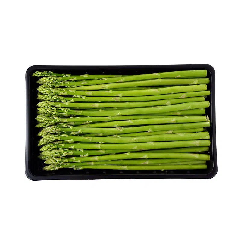 disposable plastic blister asparagus packing tray (1)