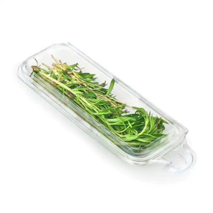 Hinged Container For Herbs2