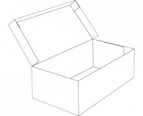 Flip-top Shoe Boxes