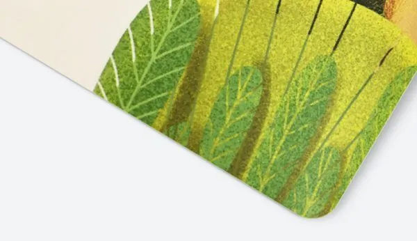 Matt lamination - One-stop packaging customization manufacturer