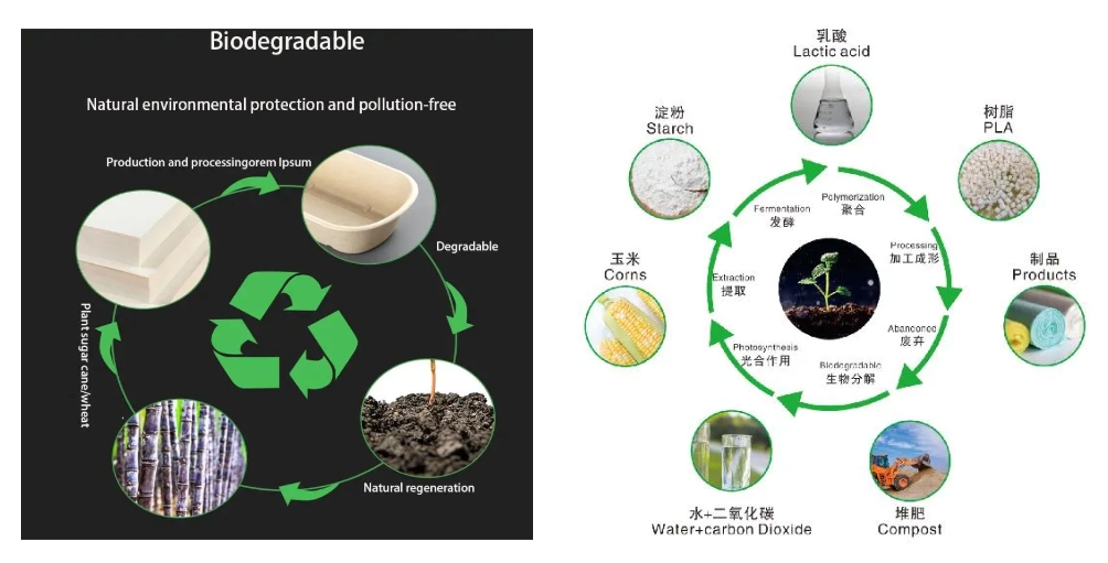 PLA - One-stop packaging customization manufacturer