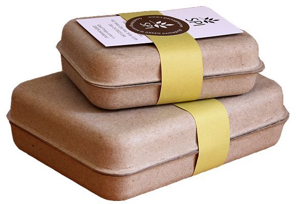 compostable containers