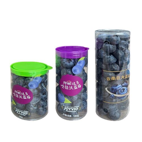 Contenedor de embalaje de plástico transparente de arándano OEM personalizado